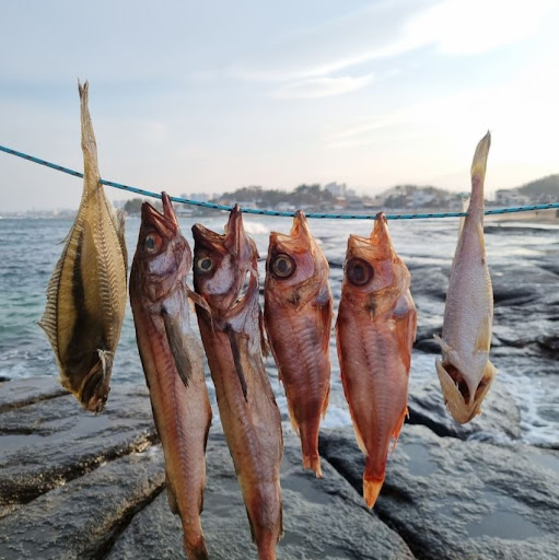 열기 민어와 반건조 우럭의 맛, 속초사이버장터에서