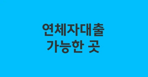 연체자대출 상환 계획 세우는 법