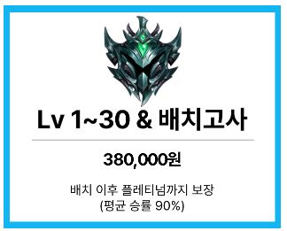 안전하고 빠른 롤대리 하루팀