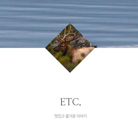 태상의 미니샵 바로가기: 라이프스타일 정보 사이트 선택의 기준