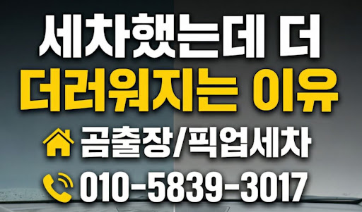 안양출장세차 전문가가 알려주는 도장면 손상 없는 친환경 워터리스 공법의 원리